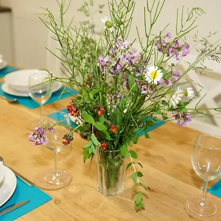 Dom Franciszkańska 25 *